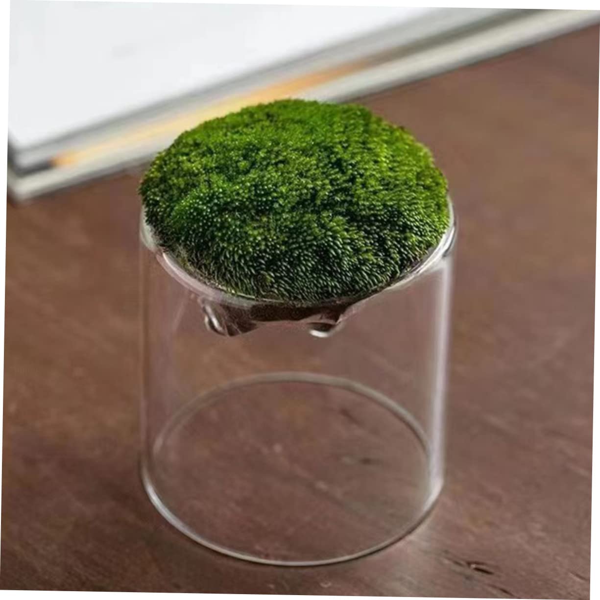 Parliky Terrarium Jars Set DIY Landscape Glass Bottle Moss Home Decor Plant Container