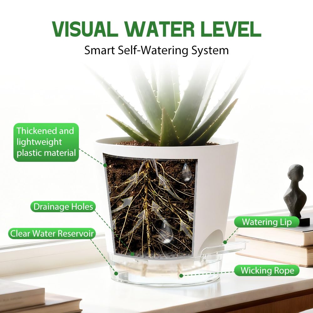 KEETUMOOD Self Watering Pots for Plants, 2026 New Flower Plant Pots with Drainage Holes, Wicking and Clear Reservoirs for Succulent, Aloe, Cacti and Others - 6 Pack (White, 6")