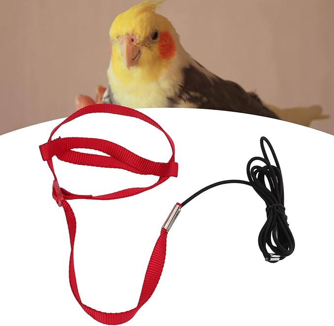 Elastic Parrot Harness Leash Bird Leash Bite Proof Harness Adjustable Parrot Flying Training Rope with Metal Hook Nylon Webbing for Cockatiels Walking (S)