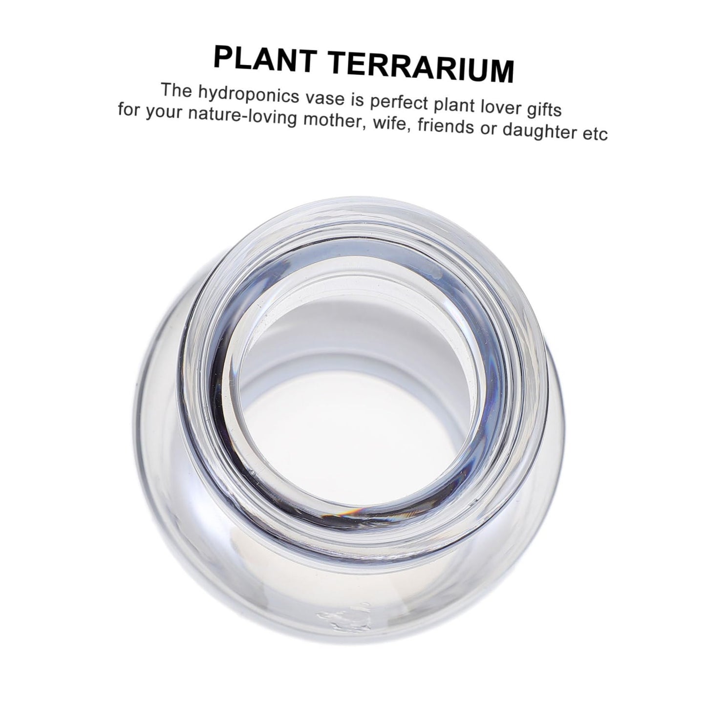Cabilock Desktop Hydroponics Glass Planter Vase Stylish Terrarium for Home Decor Simple Design Small Bulb Container for Plant Lovers