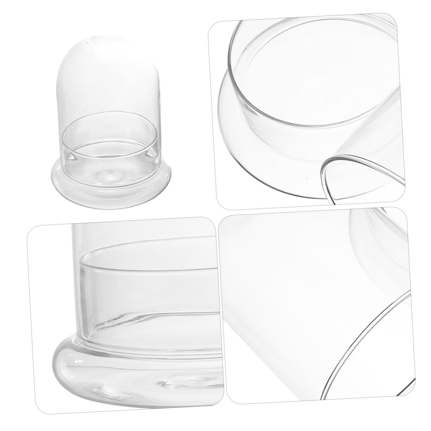 TOPPERFUN 1Pc Plant Bottle Chic Microlandscape Glass Terrarium for Home Decoration and for Plant Lovers
