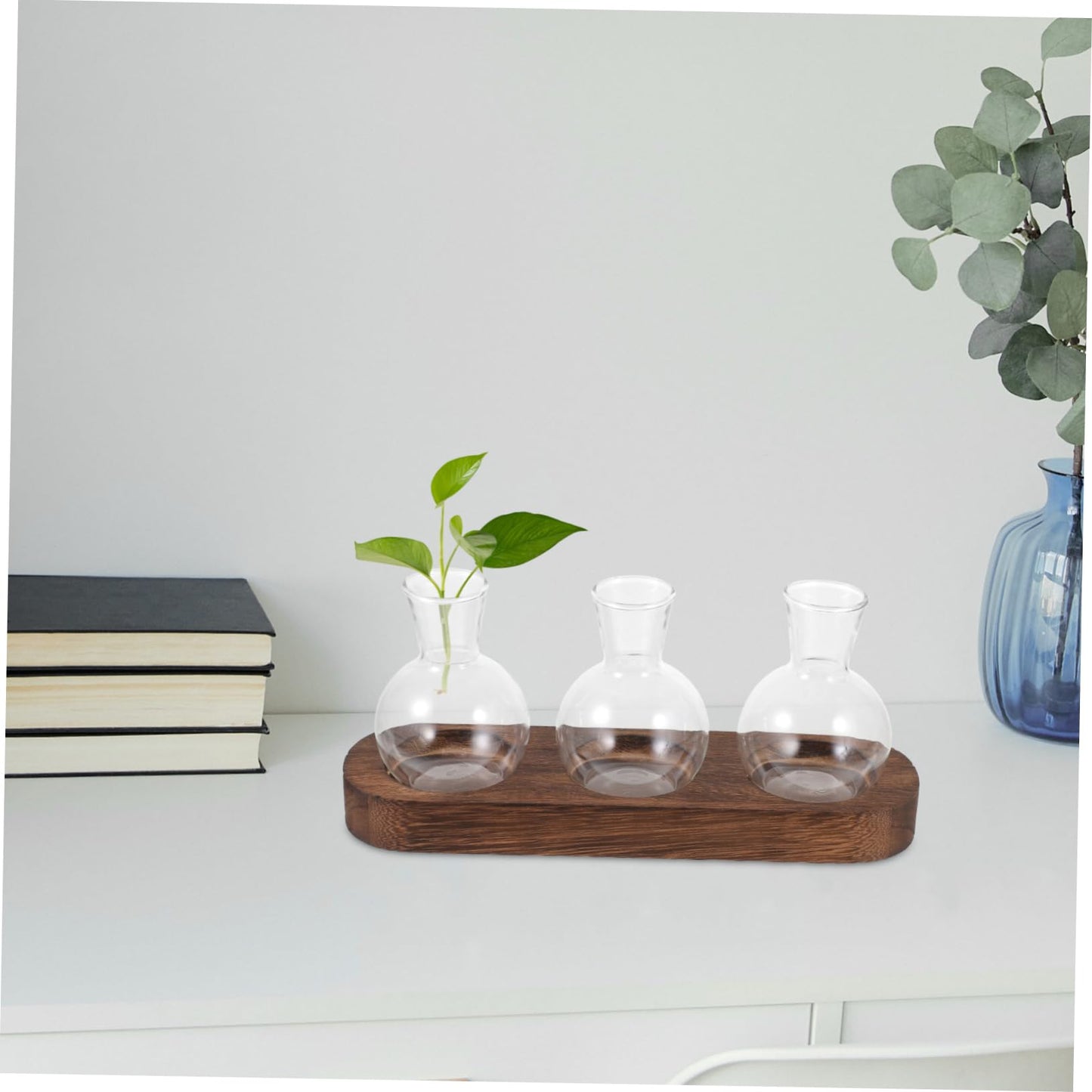 FONDOTIN Hydroponic Glass Vase with Wooden Base for Home and Office Decoration Plant Arrangement Container Stylish Desktop Terrarium for Greenery