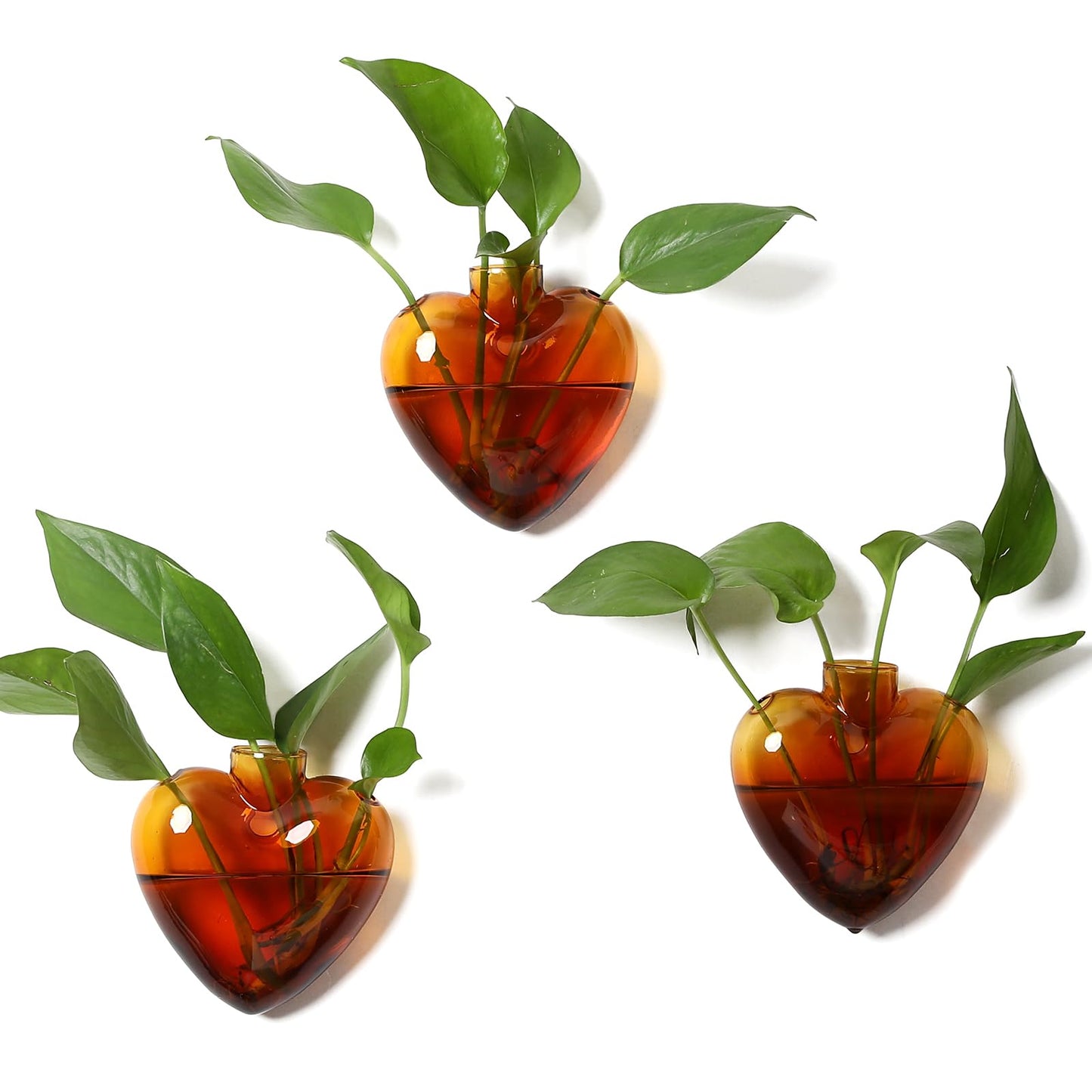 CYZglass Wall Hanging Planter Propagation Station for Indoor Plants Glass Vase Air Plant Holder Gift for Women Girlfriend Plant Lover