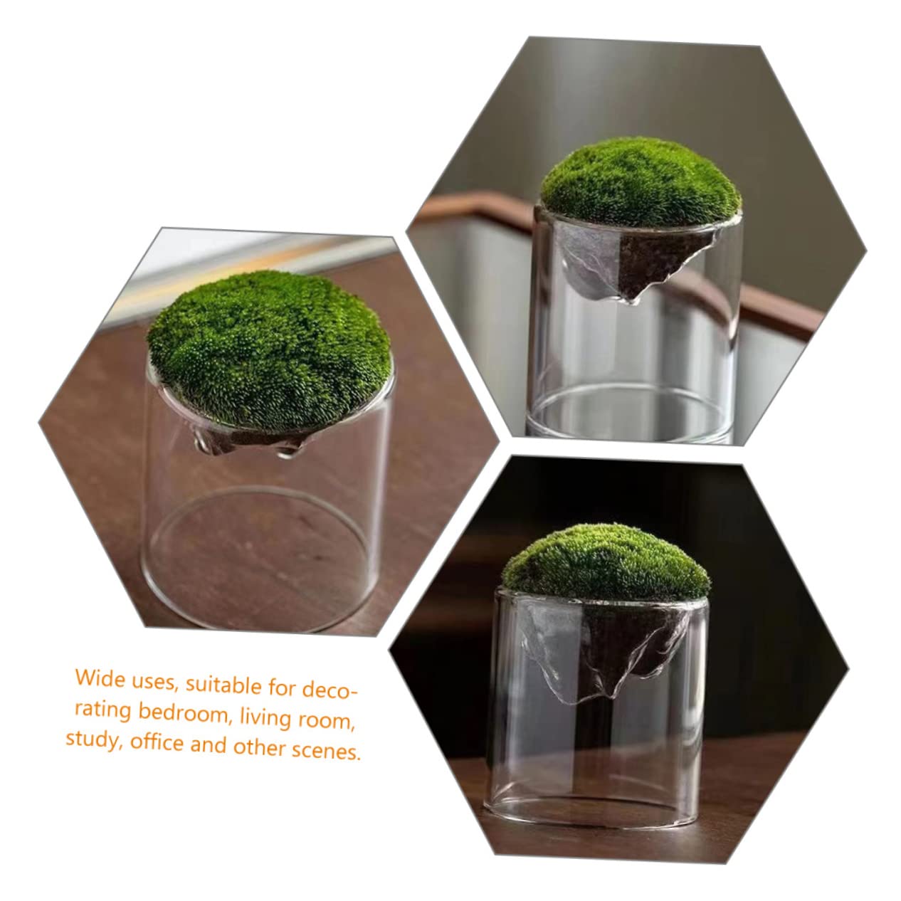 Parliky Terrarium Jars Set DIY Landscape Glass Bottle Moss Home Decor Plant Container