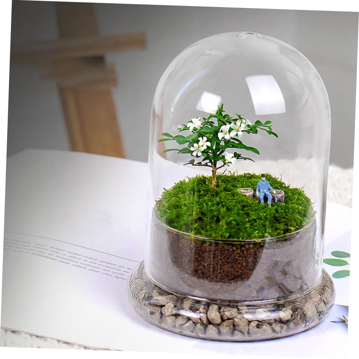 Sosoport Glass Eco Bottle Terrarium Supplies Bell Jar Dome Plant Holder DIY Decor