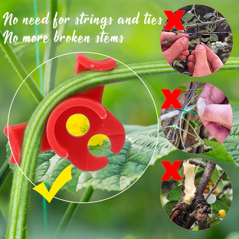 LucyPhy 60 Pack Plant Bender Angle Adjustable Plant Training Clips Low Stress Training Clips 90 Degrees Plant Stem(Circle Style,Red)