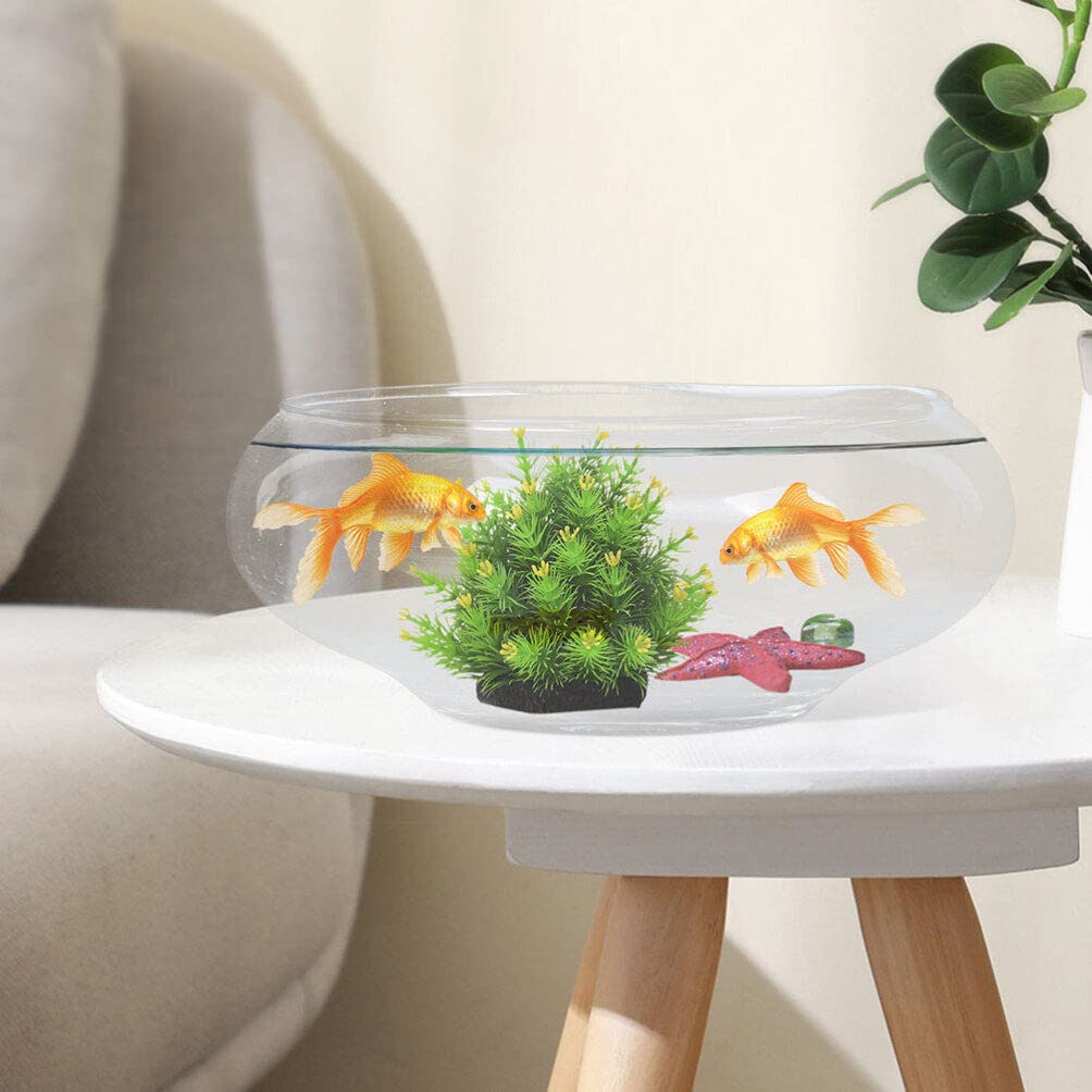 Glass Bubble Bowl - Wide Mouth Flower Vase Clear Bubble Planter Terrarium Aquatic Plant Pot Shallow Fish Tank for Centerpiece Hydroponic Succulent