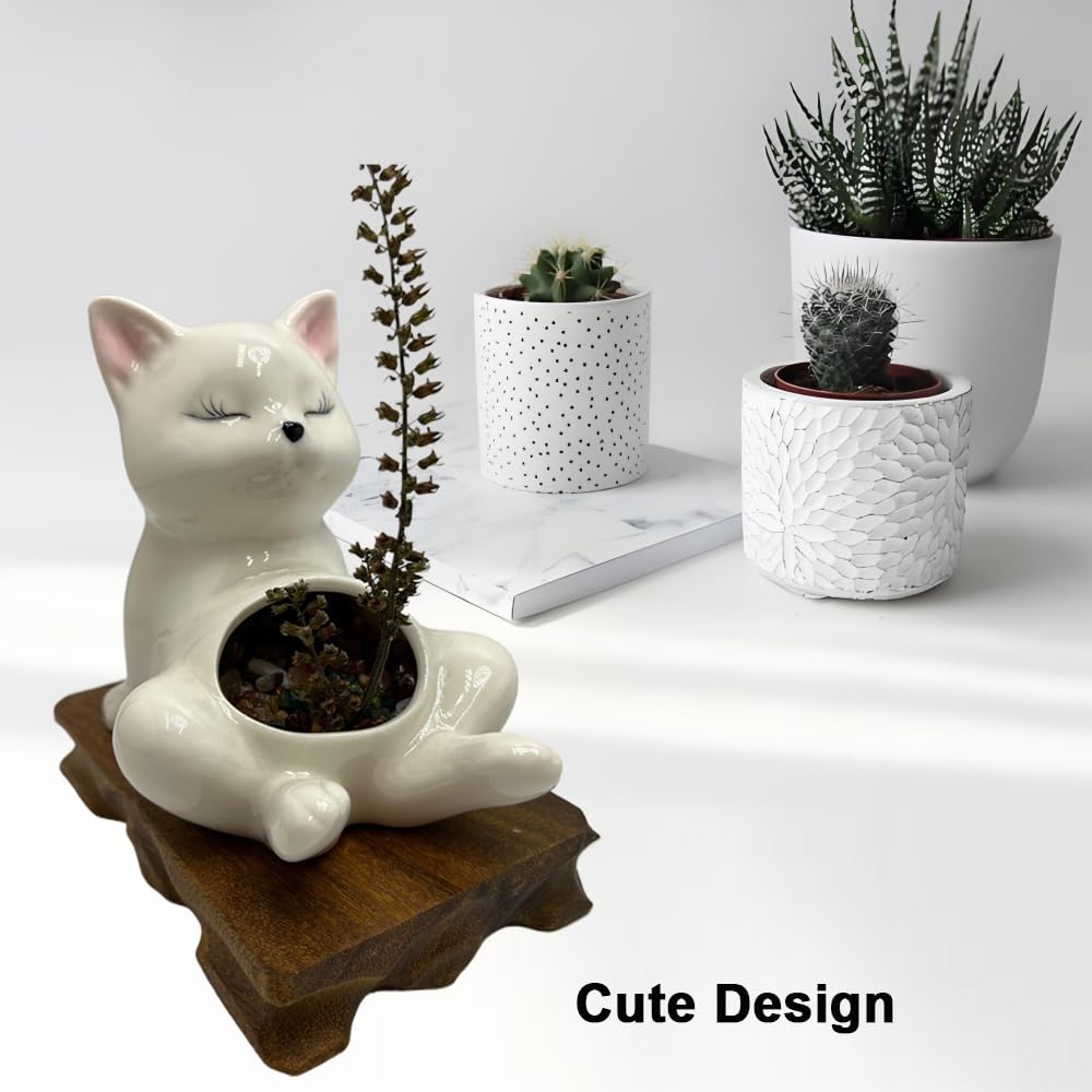 BEECO GIF2U Cute Succulent Pots,White Ceramic Indoor Planters with Drainage and Wood Tray,Round Shallow Flower Plant Pots Decoration Cat