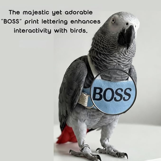 2 Pack Bird Flight Suit Vest, Adjustable Parrot Harness Clothes with Cute Design, Anti-Bite Outdoor Training Outfit for Parakeet, Cockatiel, Conure, Quaker, Budgie (L,Without Leash)