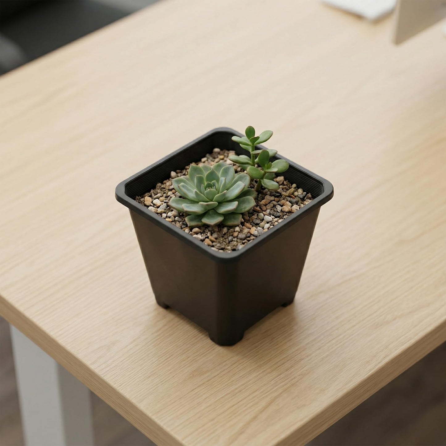 HAKZEON 50 PCS 5.5 Inch Square Nursery Pots, Black Plastic Plant Pot with Drainage Holes, Small Seed Starting Pots for Flower Planter Seedlings, Succulents