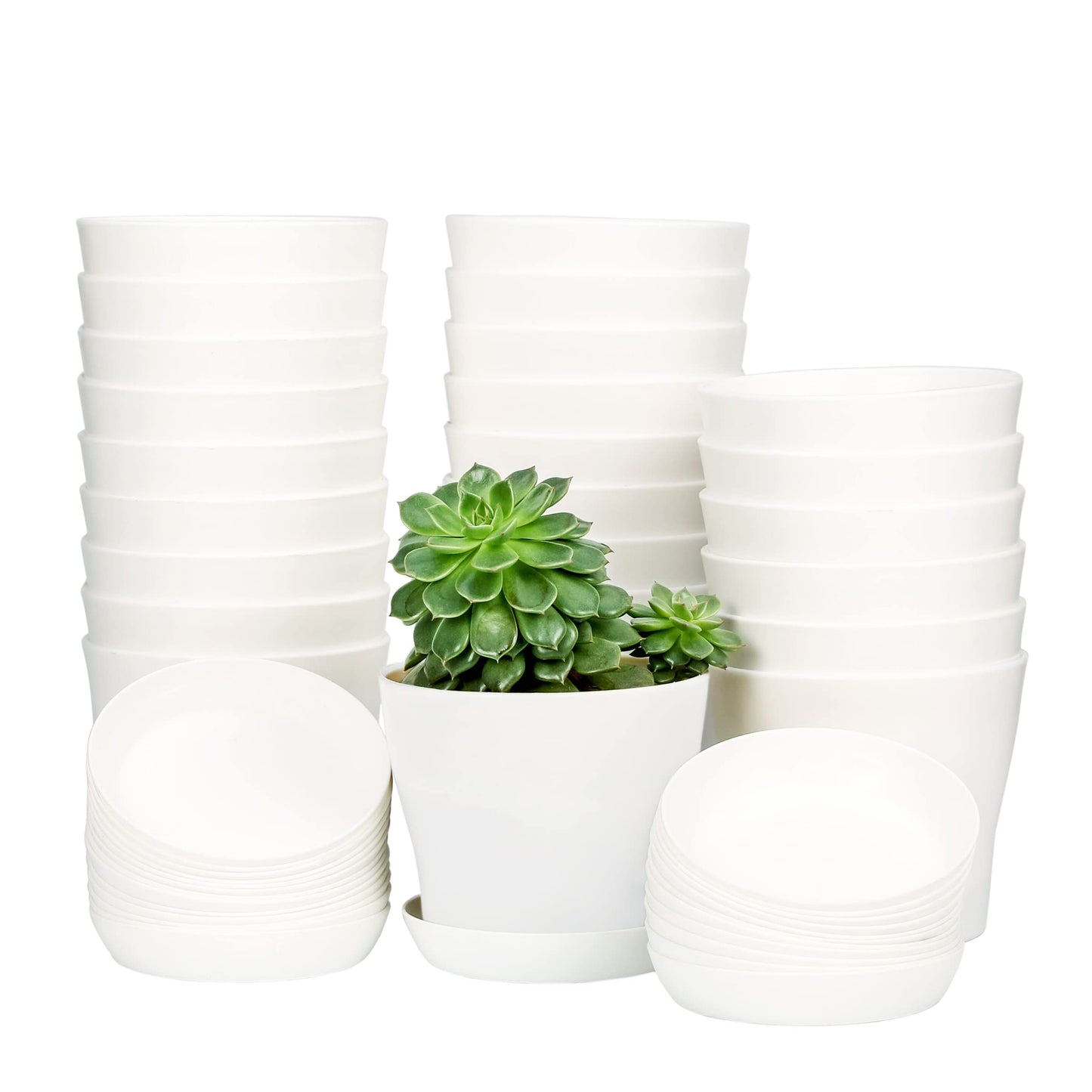 TDHDIKE 10 Pcs Plastic Planters Indoor Flower Plant Pots, Mini Flower Seedlings Nursery Pot/Planter/Flower Pot with Pallet, Modern Decorative Gardening Containers (White25)