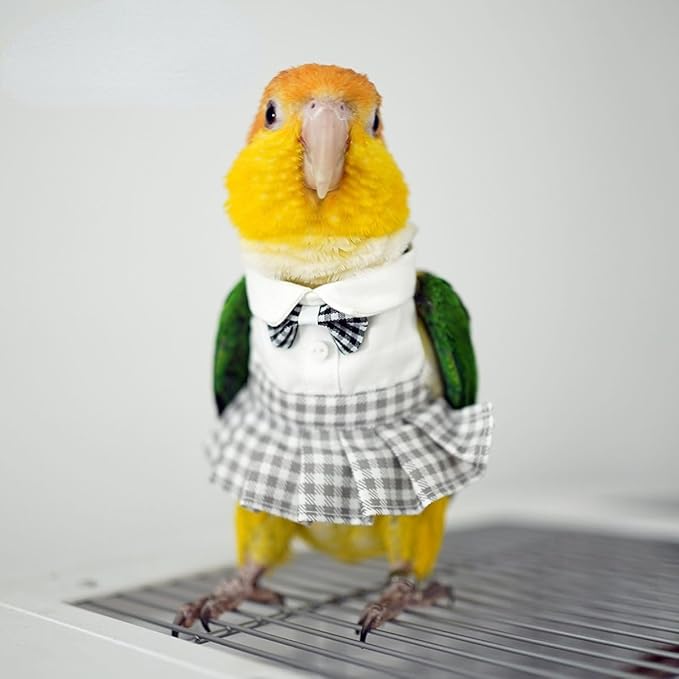 Bird Costume Bird Diaper Flight Suit Cute JK Dress Dress Skirt Clothes Cosplay Photo Prop for Parrots Macaw Cockatoo (with Diaper,M)