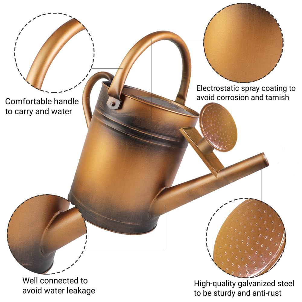 Megawodar 1 Gallon Metal Watering Can with Removable Spout, Nice Galvanized Steel Water Can for Indoor and Outdoor Plants (House Plants)