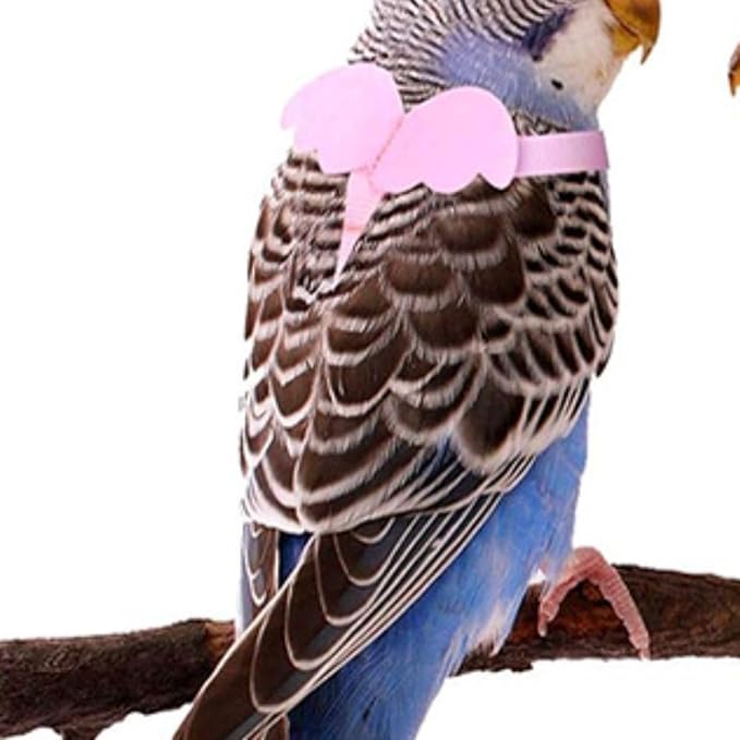 Pet Parrot Bird Harness and Leash, Adjustable Training Design Anti-Bite, Bird Nylon Rope with Cute Wing for Parrots, Suitable for Macaw Cockatoo Cockatiel Lovebird Conure African Grey (Pink,L)