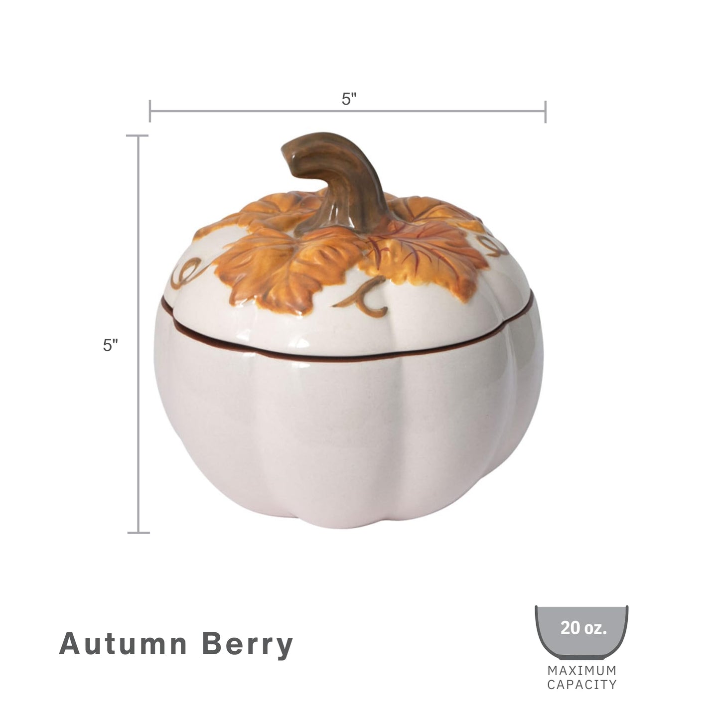Pfaltzgraff Autumn Berry Covered Pumpkin Bowl, Holds 20 Ounces, Cream