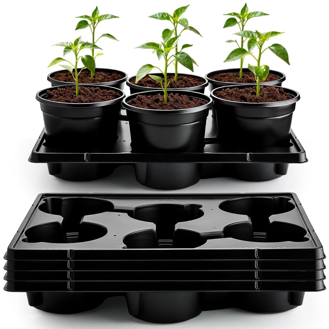 RooTrimmer 6 Inch Plastic Plant Pots 30 Pack and 6 Cell Nursery Pots Trays 5 Pack, Sturdy Seeds Starting Germination Shuttle Carrying Trays, Black Nursery Planting Propagation 5 Sets