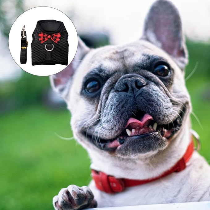 Kisangel Breathable Mesh Pet Vest Harness Chest Strap for Small Pets Lightweight No-Pull Outdoor Safety Harness with Sliding Straps for Rabbits Guinea Pigs Squirrels Black