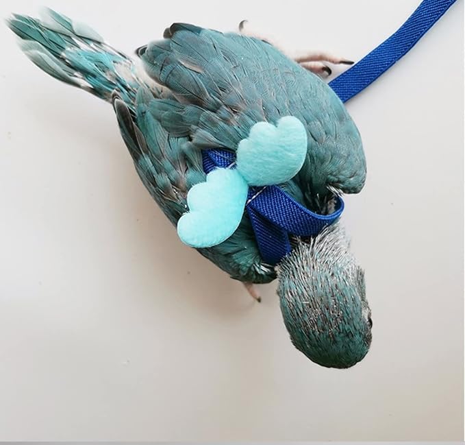 Pet Parrot Bird Harness Leash Adjustable Bird Flying Harness Traction Rope with Cute for Parrots Budgerigar Lovebird Cockatiel Mynah Outdoor Training Toy (Budgerigar/Lovebird,Blue)