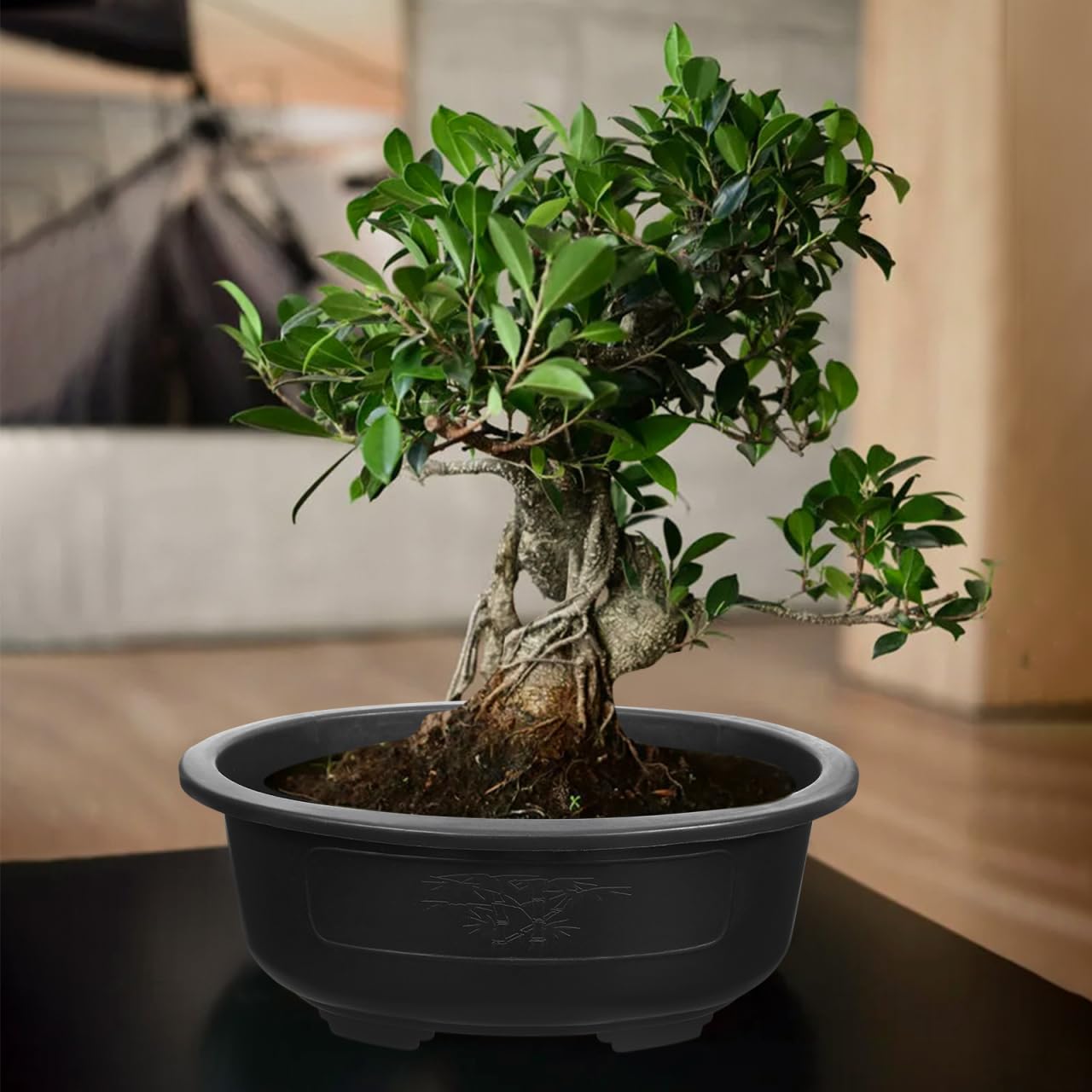 DOITOOL 2 Pcs Large Bonsai Pots 15 Inch Plastic Oval Training Planter with Drainage Holes Deep Tree Bowl for Succulent Nursery