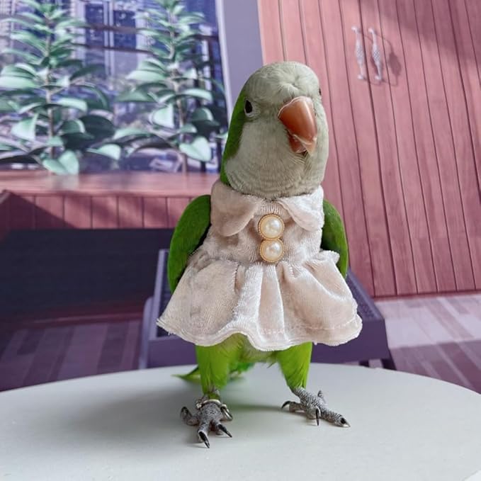 Bird Costume Bird Diaper Flight Suit Parrot Velvet Fleece Skirt Clothes Cosplay Photo Prop for Conure Lovebird Parakeet Cockatiel Macaw Small Animals Apparel (White,X-Large)