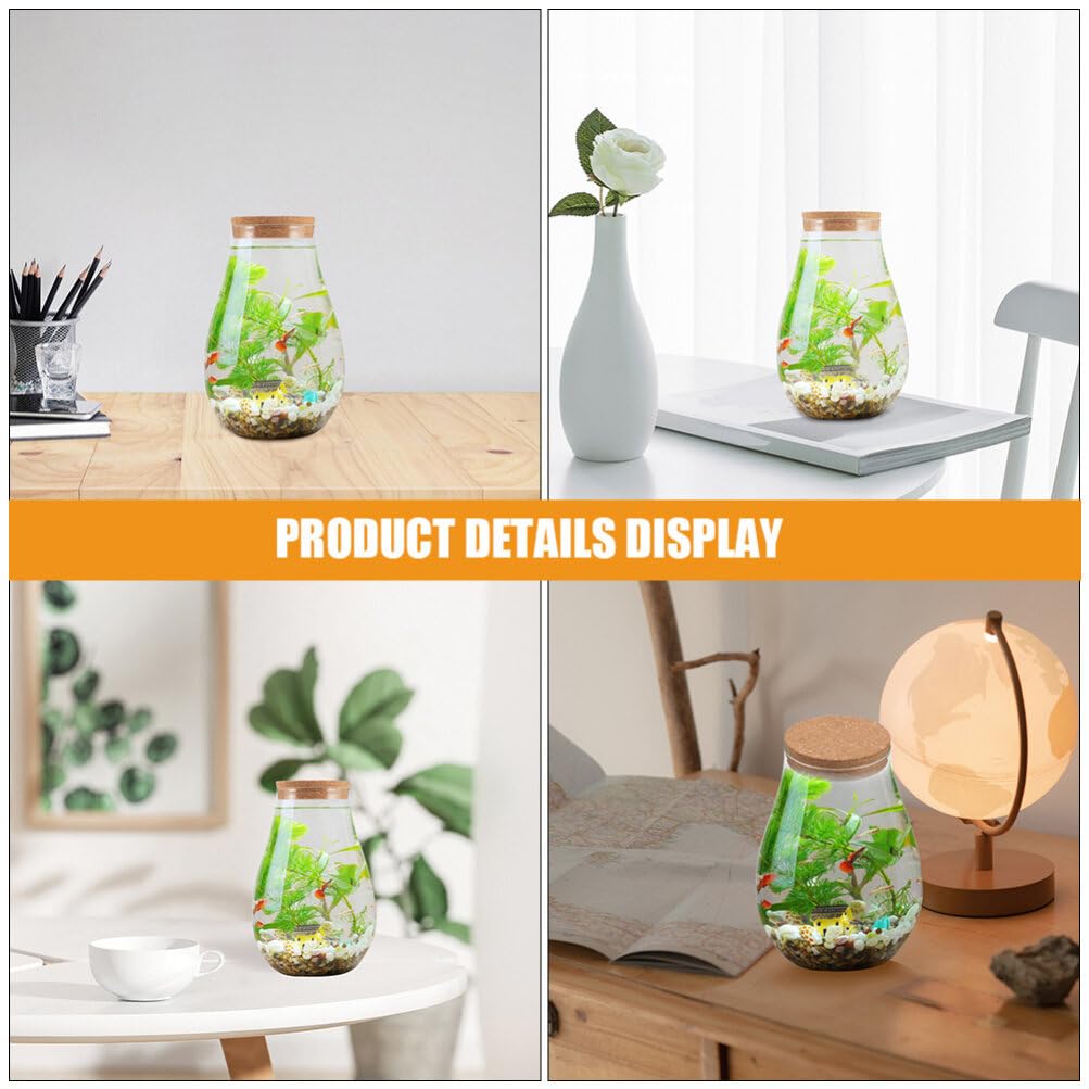 INOOMP 2pcs Glass Plant Terrarium, Tabletop Succulent Planter Sealed Glass Bottles Vial Air Plant Planter Candy Cookie Jar Fish Bowl Vase with Cork Top
