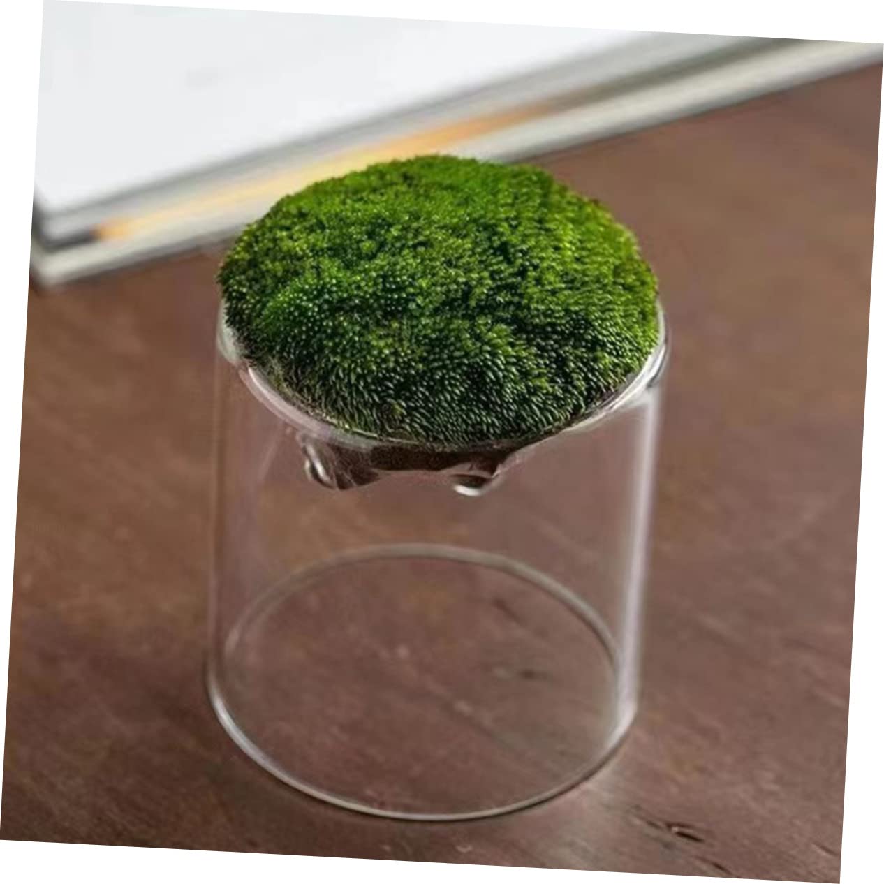 BESPORTBLE DIY Micro Landscape Glass Bottles 2 Pack Moss Plant Terrariums Elegant Decor for Home