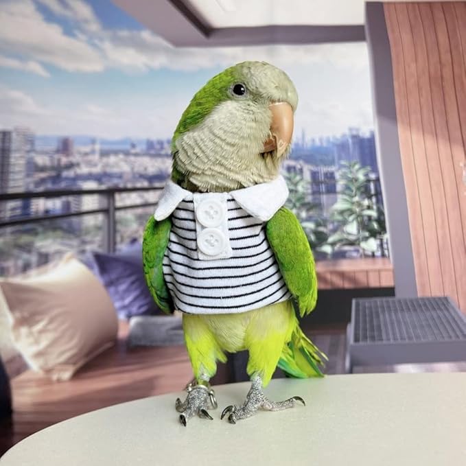 Bird Diaper Flight Suit Summer Clothes Cosplay Photo Prop for Parrots Lovebird Parakeet Cockatiel Small Animals Apparel (Green-cheeked Conure)