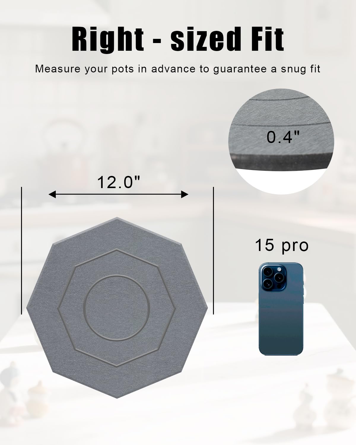 Diatomaceous Earth Plant Saucer Instant Dry, 2 Pack 12 inch Super Absorbent Plant Trays for Pots, Plant Water Catcher Tray, Plant Drip & Drainage Tray for Indoor, Gray