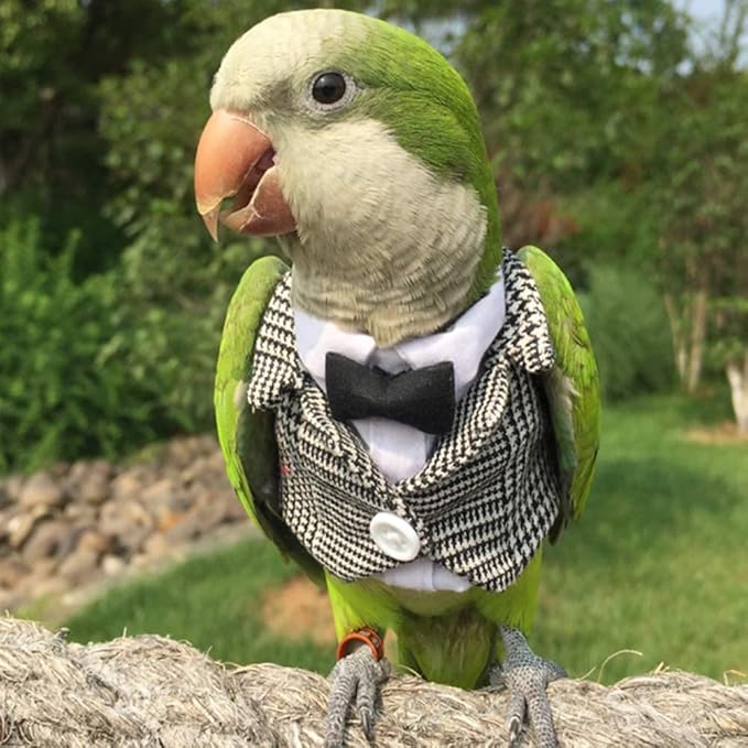 Bird Clothes Birds Flight Suit,Tuxedo Business Suit for Parrots African Greys Parakeet Cockatiel Sun Conure Christmas Party Birthday Cosplay Photo Prop Small Animals Apparel (M,Grid Suit)
