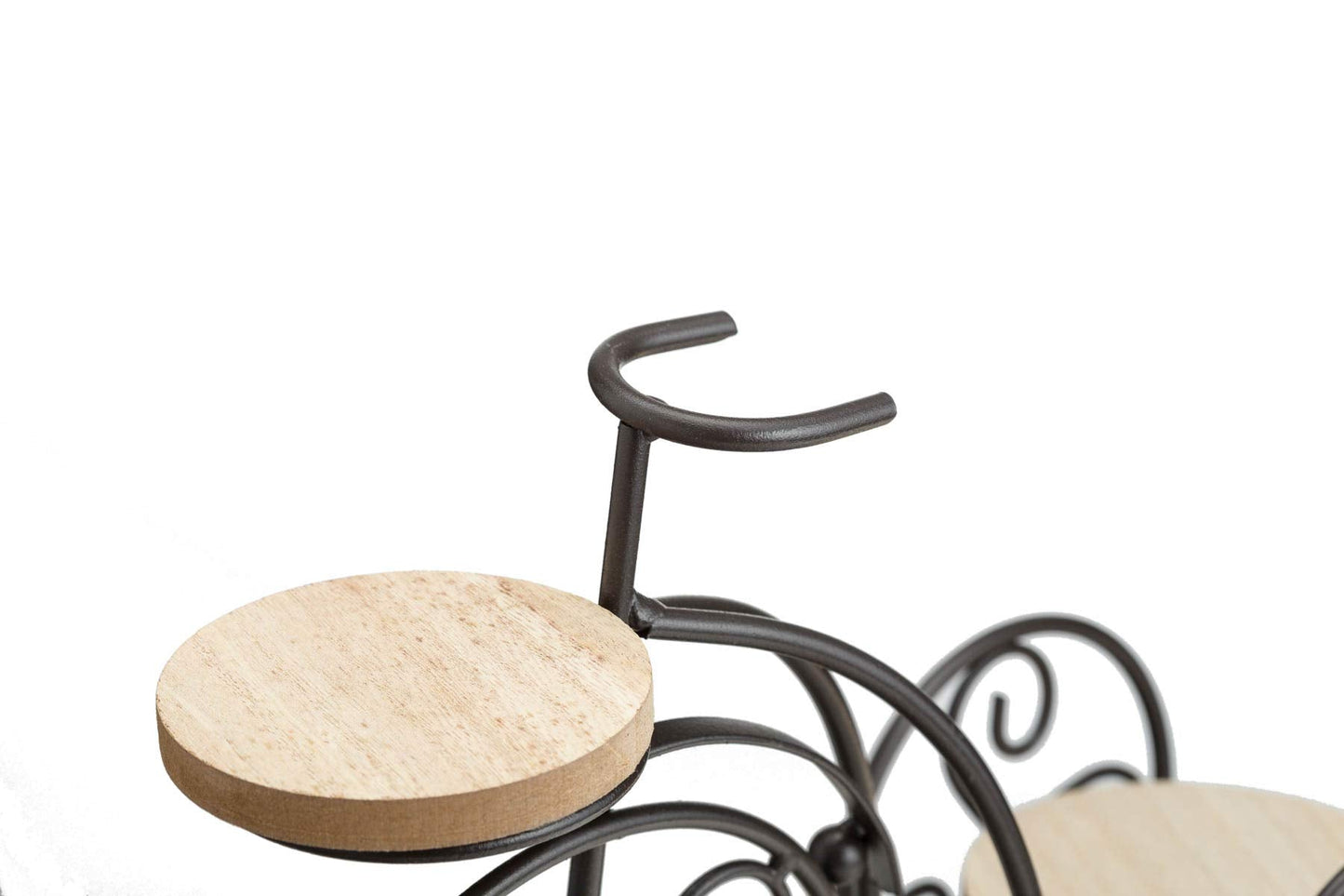 TJ Global 2-Plant Iron Bicycle Plant Stand, Metal Wire Flower Pot Wrought Iron Planter for Plants, Flowers, Garden, Patio, Office, Balcony Outdoor and Indoor Decor