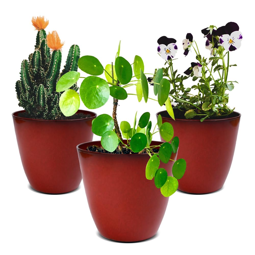 RICH ATLAS 3Pack Plant Pots Durable Decorative Flower Pots,6 Inch Planter Set for Indoor and Outdoor Plants,Flowers,Succulents (Red)