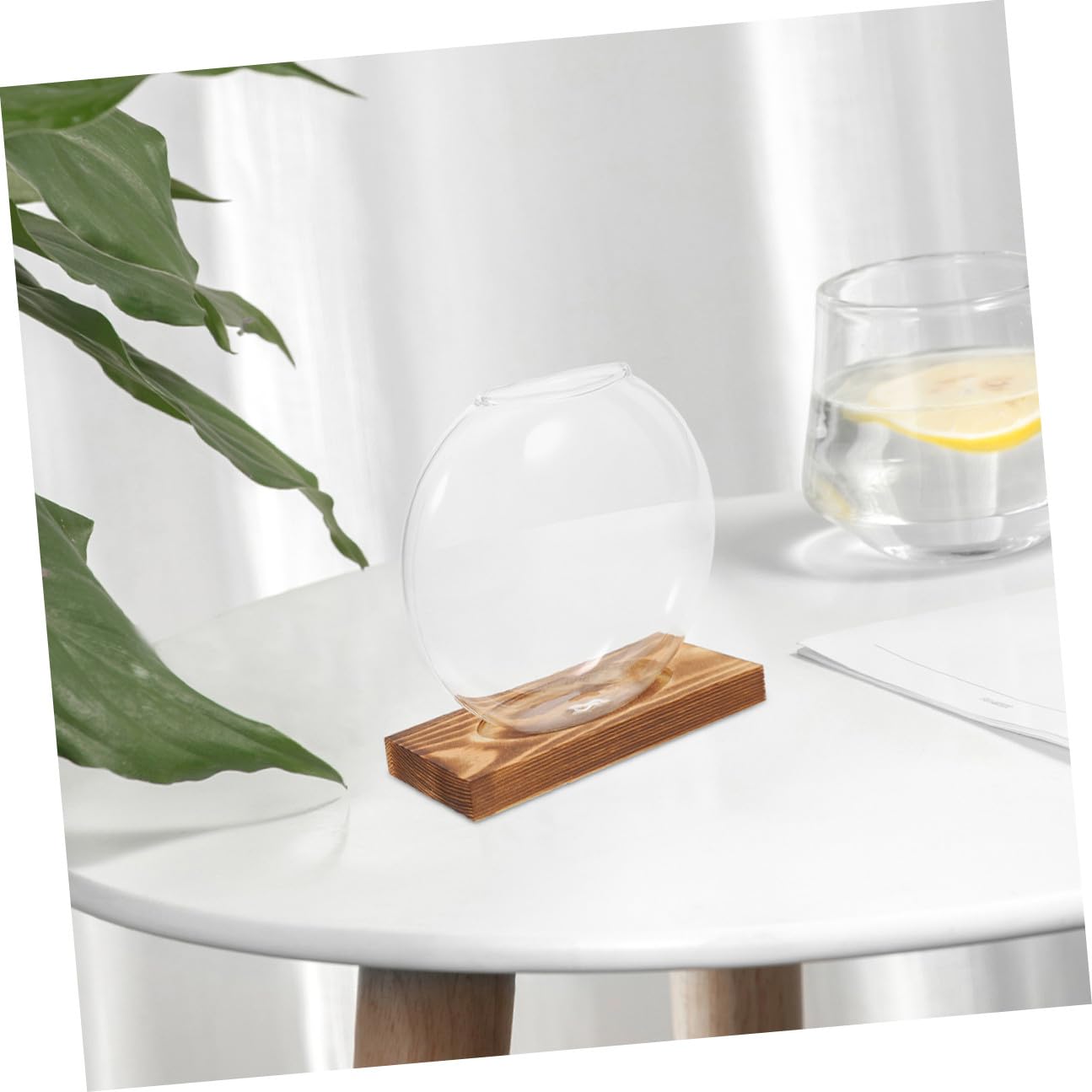 NULYLU 2Pcs Glass Plant Propagation Vases with Wooden Base, Hydroponic Terrarium Containers for Indoor Plants, Desktop Flower Vase Decor for Home and Office