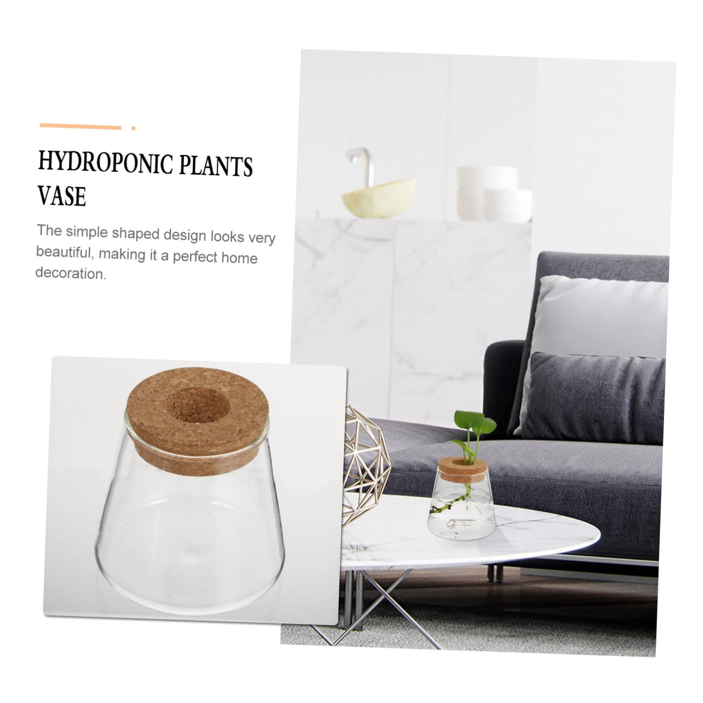MAGICLULU 2Pcs Glass Terrarium for Hydroponics Plants Desktop Vases with Smooth Glass Craftsmanship Stylish Plant Propagation Jars for Home Office Decoration