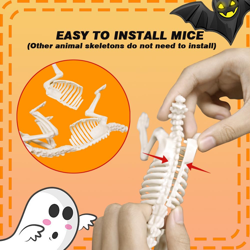 LUKBERA 6pcs Halloween Animal Skeletons, Bat Frog Scorpion Spider Snake Rat Skeletons for Halloween Party Haunted House Graveyard Scene Decoration