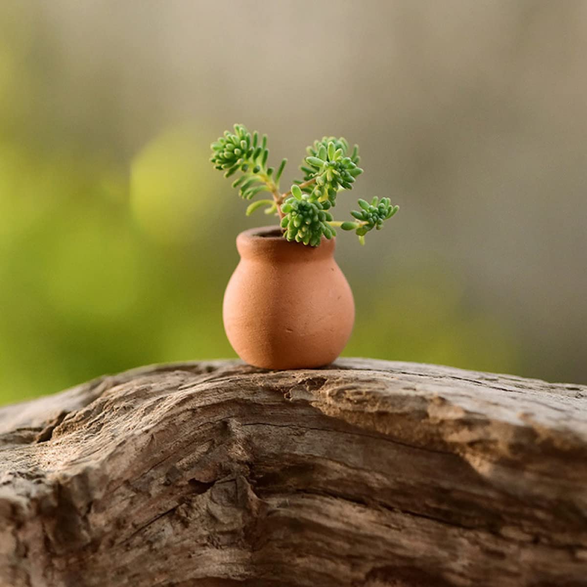 HANABASS 6pcs Mini Terracotta Pots Miniature Flower Pots Compact Containers for Crafts DIY Garden Plants Office Decor Mini House Accessories 1.5X1.5 Inch