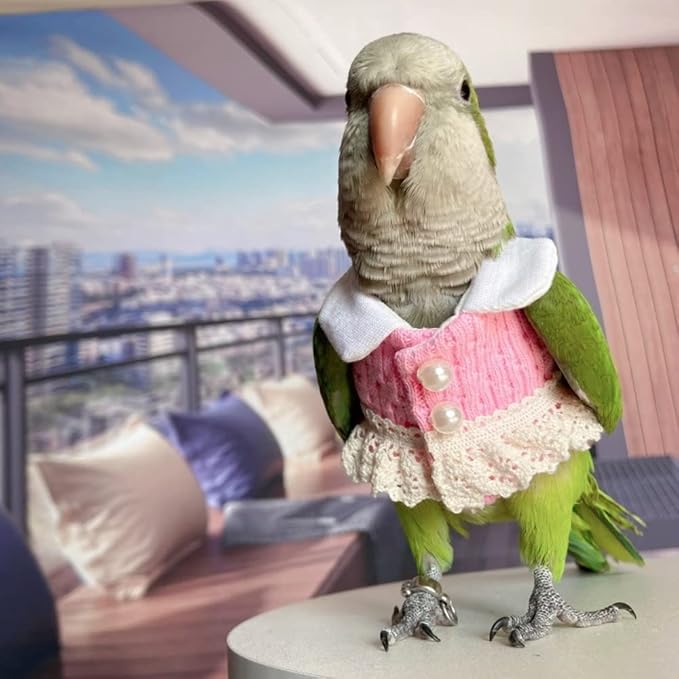 Bird Apparel Clothes for Multiple Bird Species, Cockatoo Costume, Pink Top, Holiday Photo Prop, Unisex, Cloth, Hand Wash Only, Small