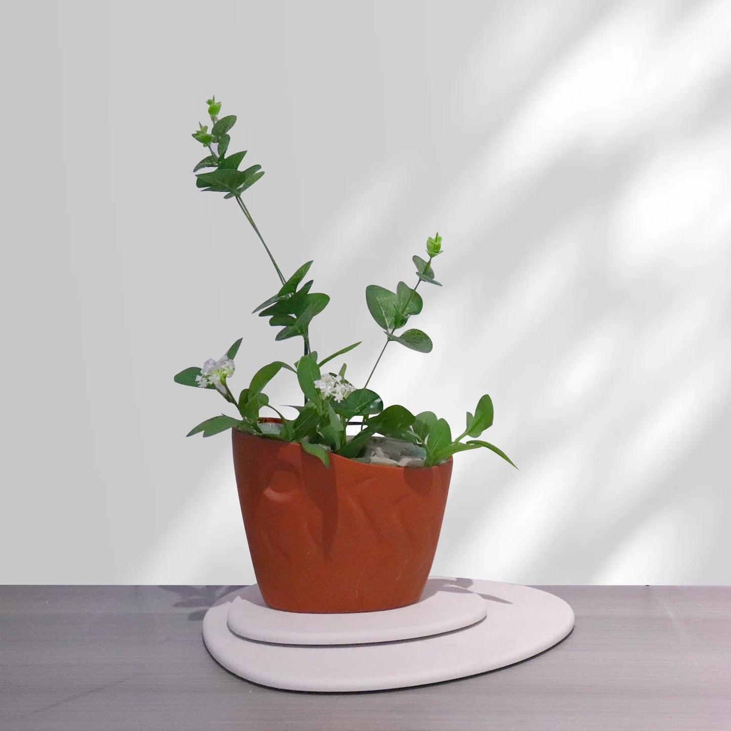 Elfcool Plant Saucer Quick Dry Absorbent Flower Plant Pot Saucer Dirp Tray Diatomaceous Earth Plant Mat for Indoor Outdoor Plants (12''-Off White-1pack)