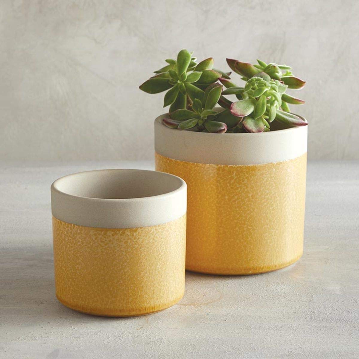 Creative Brands 47th & Main Modern Ceramic Planter/Pot, 4.25" Diameter, Yellow