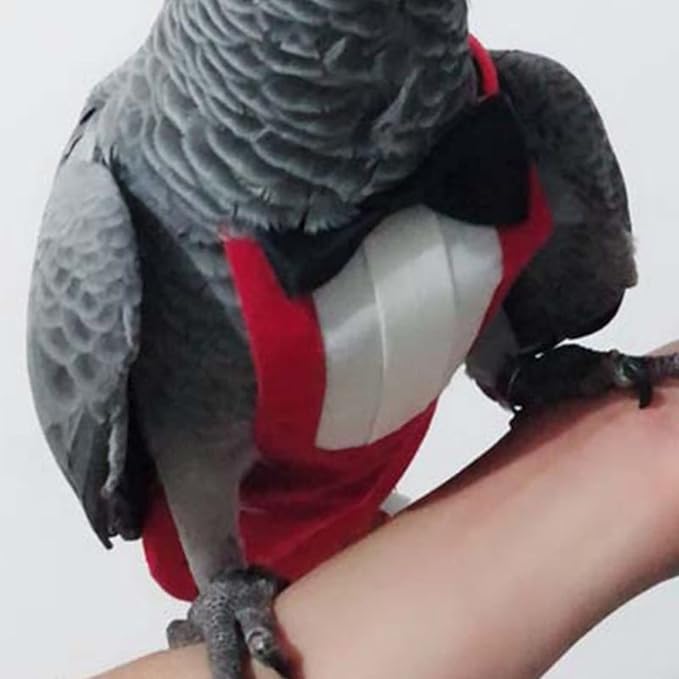 Bird Flight Suits Diapers, Parrot Flight Suits Diapers for Monk Parakeets, Cockatiels Flight Suits, Parrot Clothes, Bird Training Nappy Suit Liners Clothes (Large,Red)