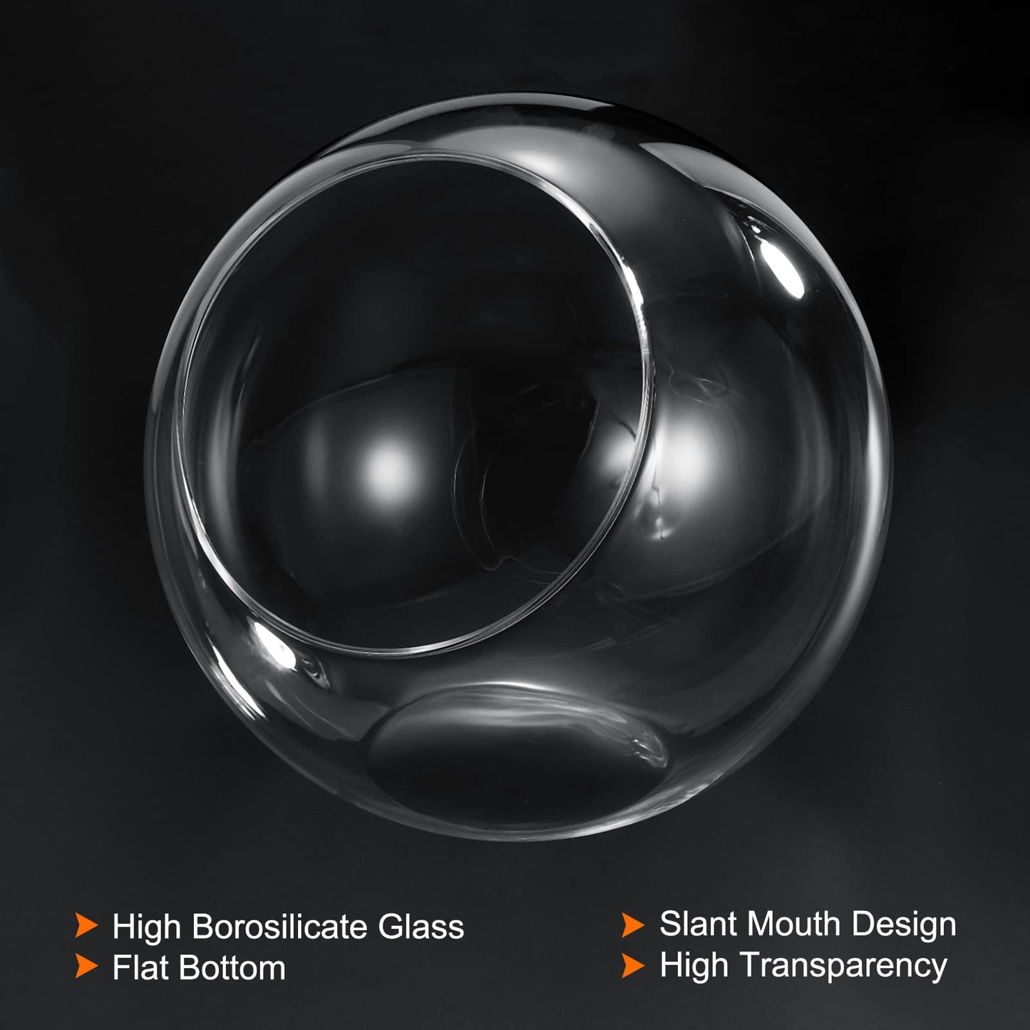 PATIKIL Round Globe Terrarium Air Plant Planter, 6.3 Inch High Borosilicate Glass Table Decorations for Succulent, Tillandsia, Clear
