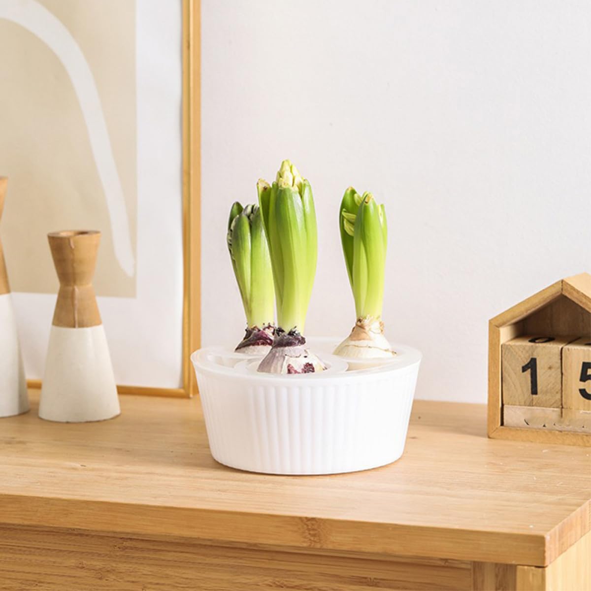 MOBUTOFU 2Pcs Net Cups 3-Hole Hydroponic Bulbs Planter Pot Small Root Control Plastic Flower Pots Heavy Duty for Tulip Daffodils Narcissus Indoor Water Planting and Succulent Gardening Plastic