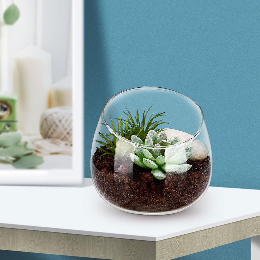 MAGICLULU Clear Glass Vase Cut Bubble Bowl Plant Terrarium Display Glass Tabletop Succulent Air Plant Planter Globe Home Office Decor 13.5cm