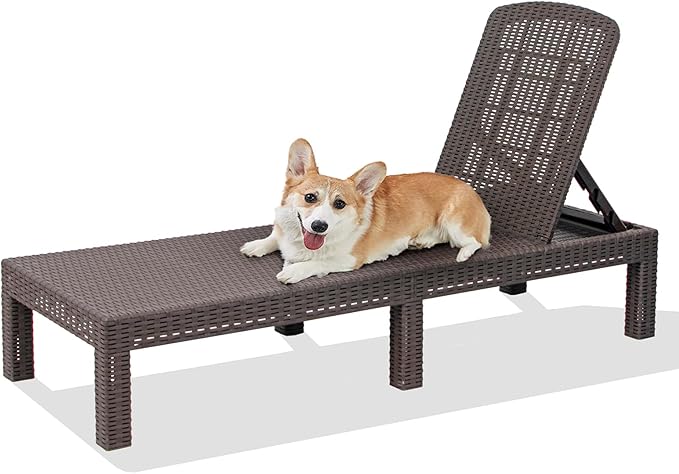DIMAR GARDEN Beach Chairs Outdoor Chaise Lounge, Resin Pool Lounge Chair