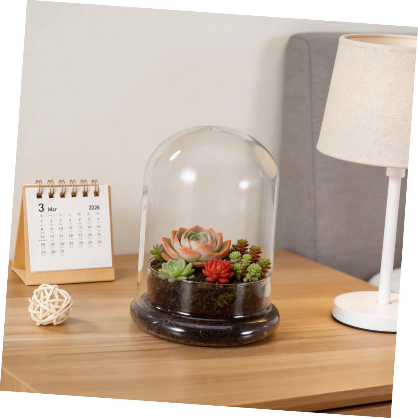 IMIKEYA Glass Moss Bottle for Terrarium Propagation Planters Plant Accessories Indoor Decor Fairy Garden Kit