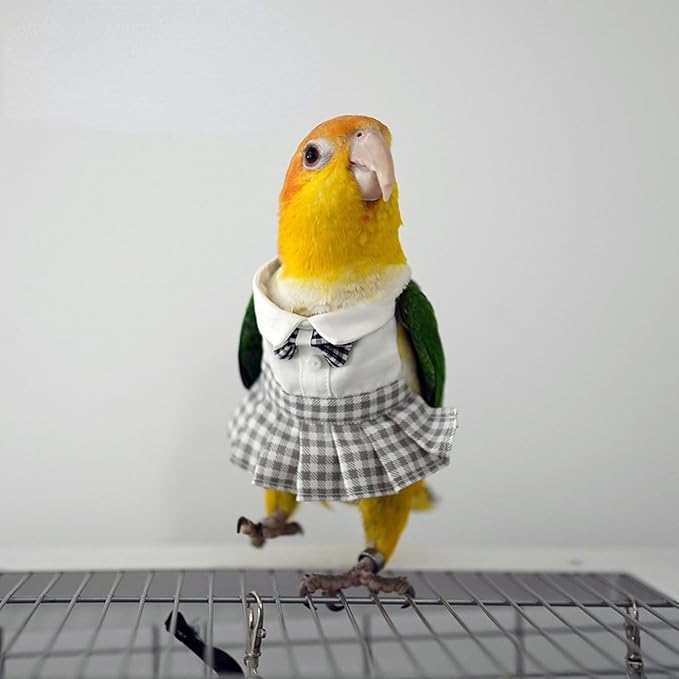 Bird Costume Bird Diaper Flight Suit Cute JK Dress Dress Skirt Clothes Cosplay Photo Prop for Parrots Macaw Cockatoo (Without Diaper,L)