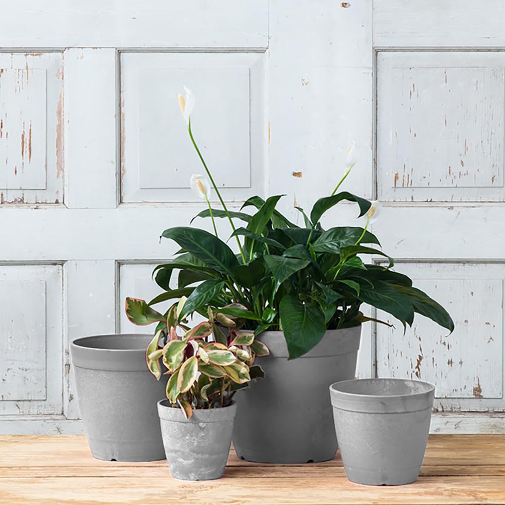 Root & Vessel Dolce Round Planter, Gray, 8"