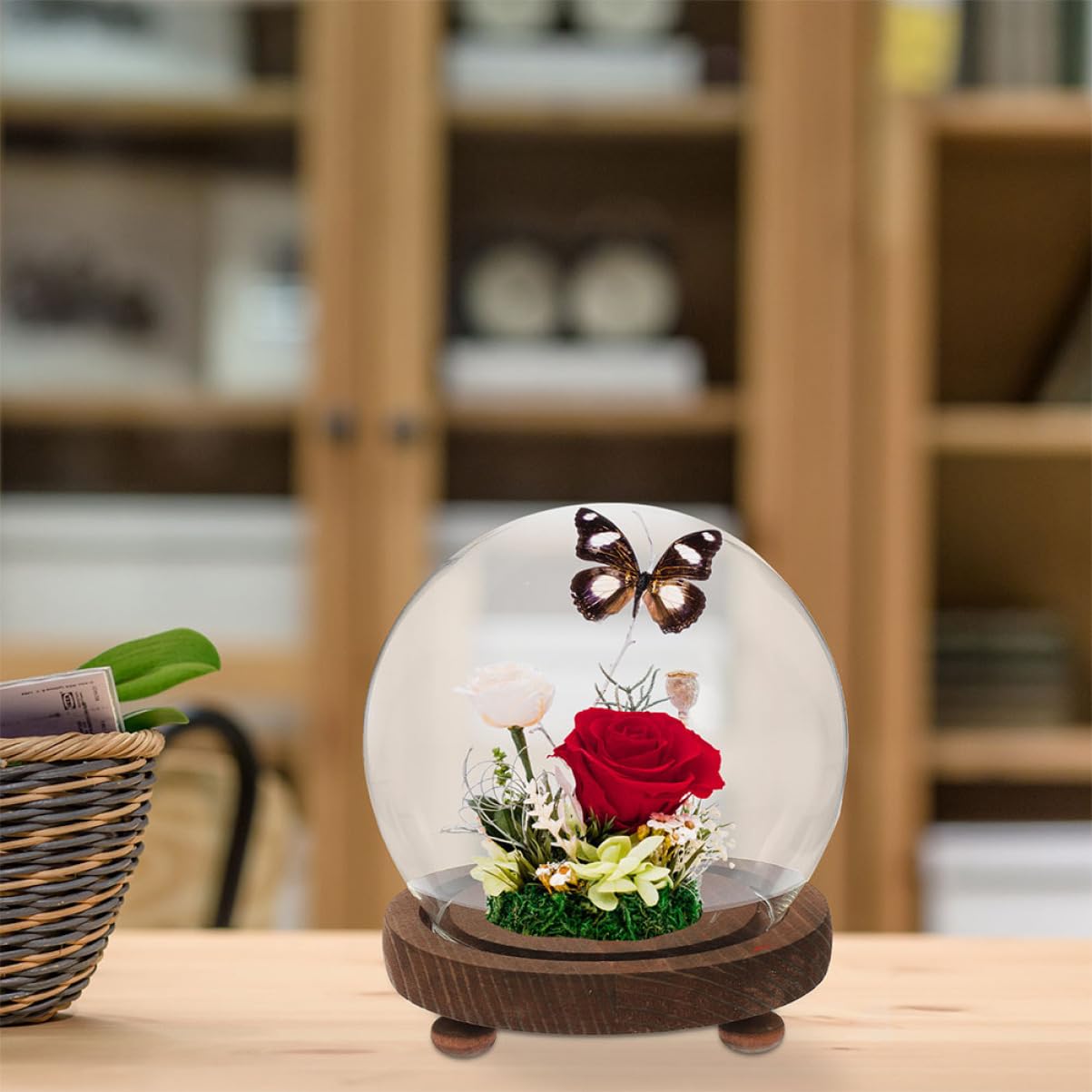 Happyyami Clear Glass Cloche Bell Jar with Wooden Base for Plants Terrariums and Preserved Flowers Elegant Display Dome Cover for Home Decor Dust Showcase Beauty