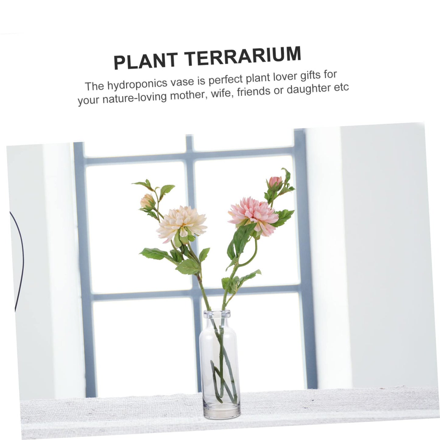 ABOOFAN Glass Vase for Hydroponics Plants Small Mouth Desktop Planter Terrarium for Home Decoration Smooth Transparent Floral Arrangement Container Gift Ready Decorative Propagation