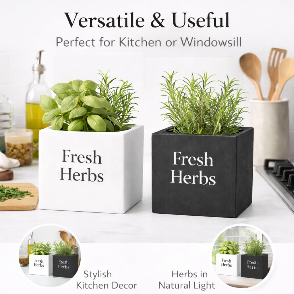 Fresh Herbs Planter Set of 2 (White & Black), 3.94'' Square Indoor Herb Pots for Kitchen Countertop, Modern Minimal Planters for Home Décor