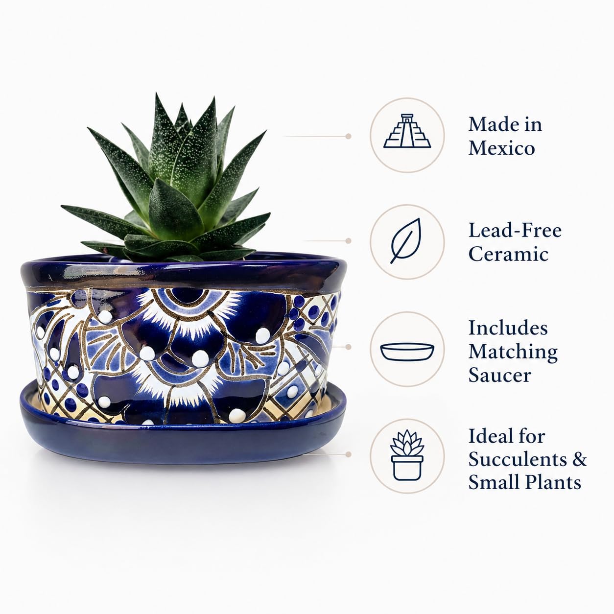 Casa Fiesta Designs Small Ceramic Pot - Flower Planter with Drainage for Cactus Bonsai Succulents Blue and White Ceramic Pot - Desk Size - Maceta Ceramica Maceta Azul Blanco